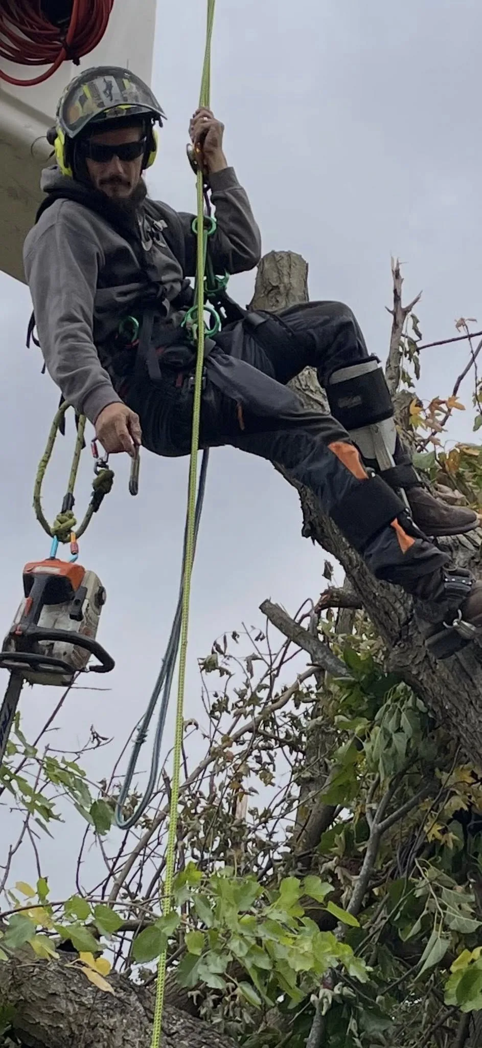 Klass climber in a hard hat sitting in a tree with rigging gear and a chainsaw