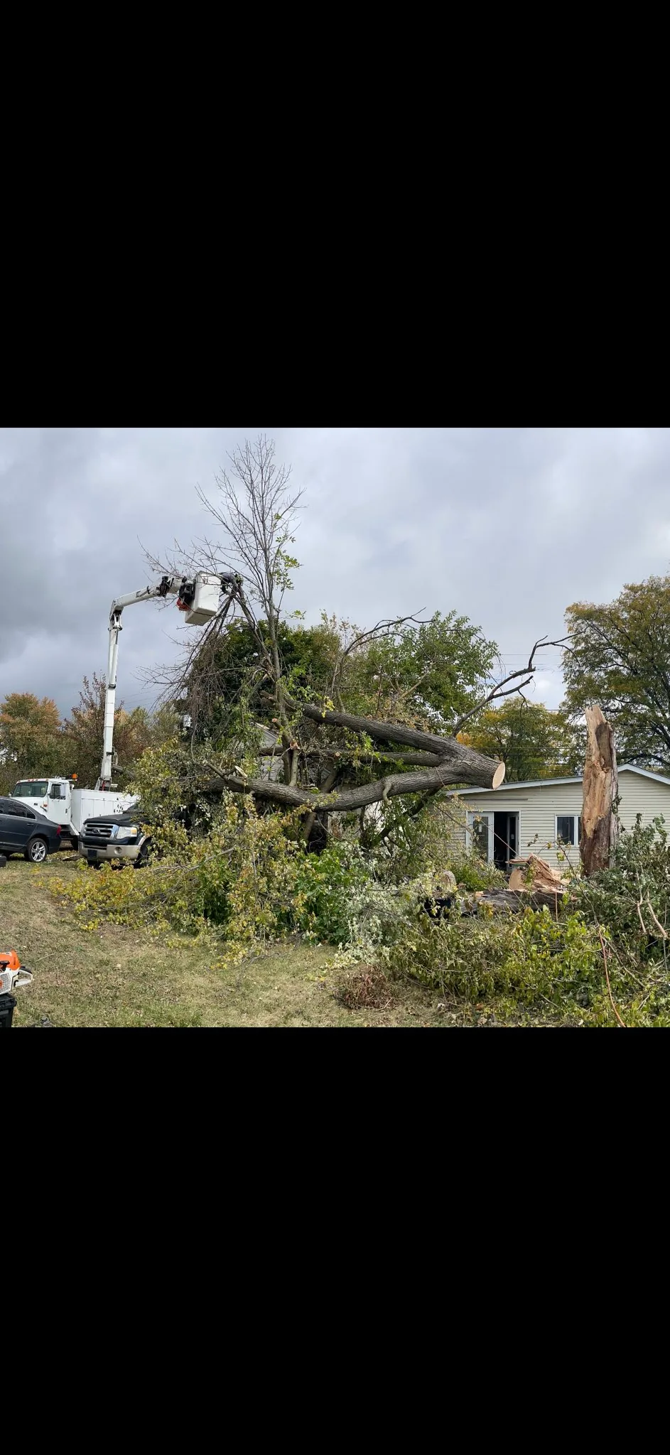Close-up of a Klass climber cutting a thick log from a bucket truck with a chainsaw
