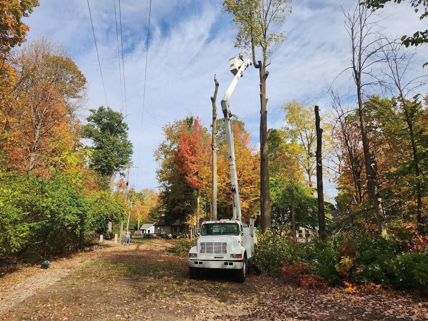 Klass bucket truck working a tall tree on a rural Indiana road in fall colors