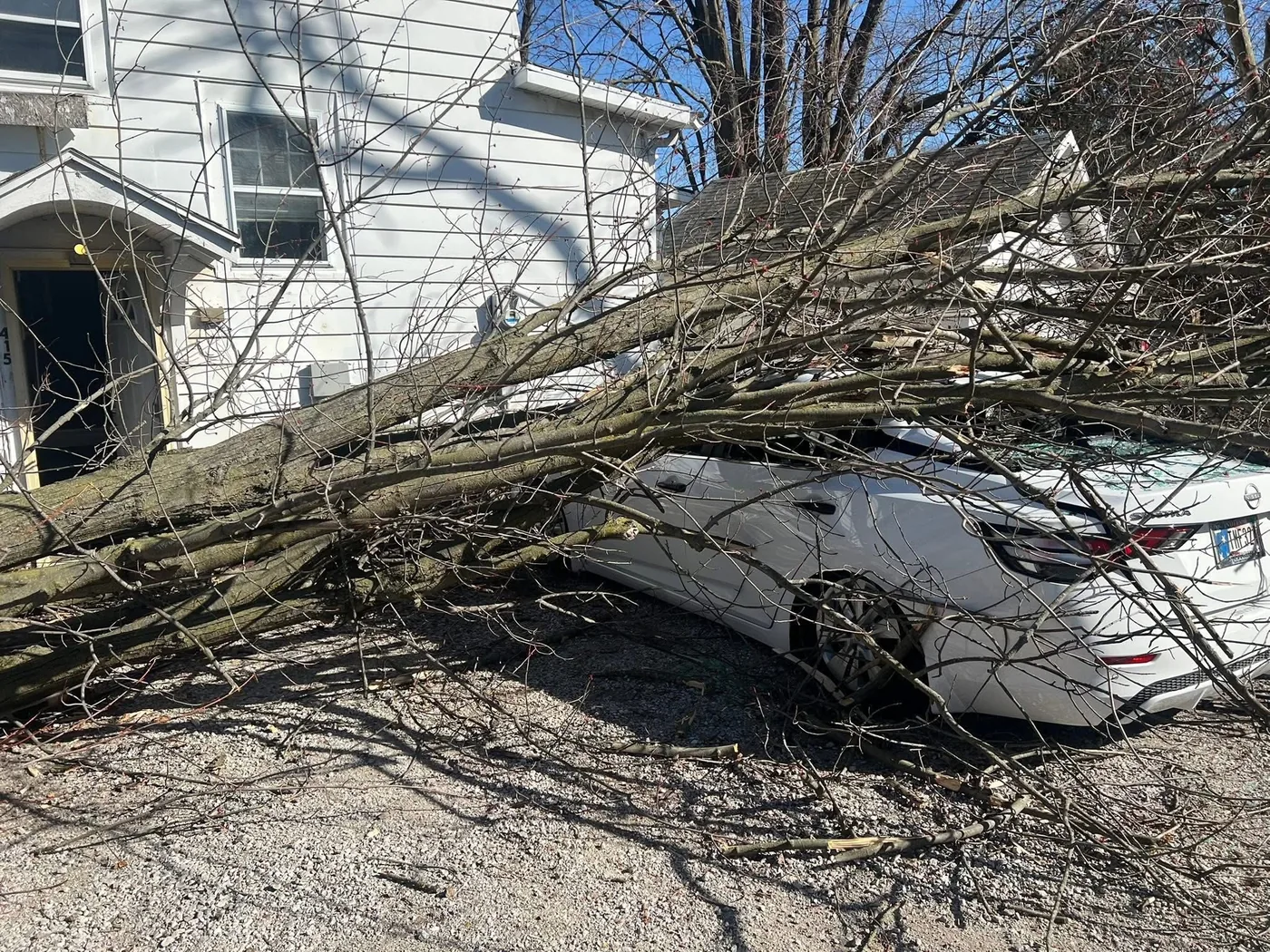 A large tree fallen across a parked sedan in an Indiana neighborhood after a storm