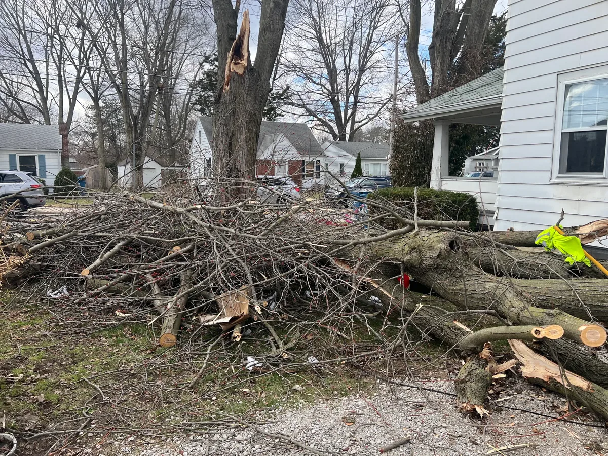 Large pile of storm-downed branches and debris next to a Fort Wayne home after emergency cleanup