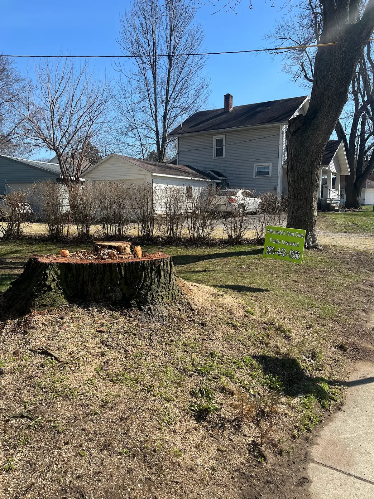 Large tree stump in a Fort Wayne residential yard after tree removal, Klass sign visible