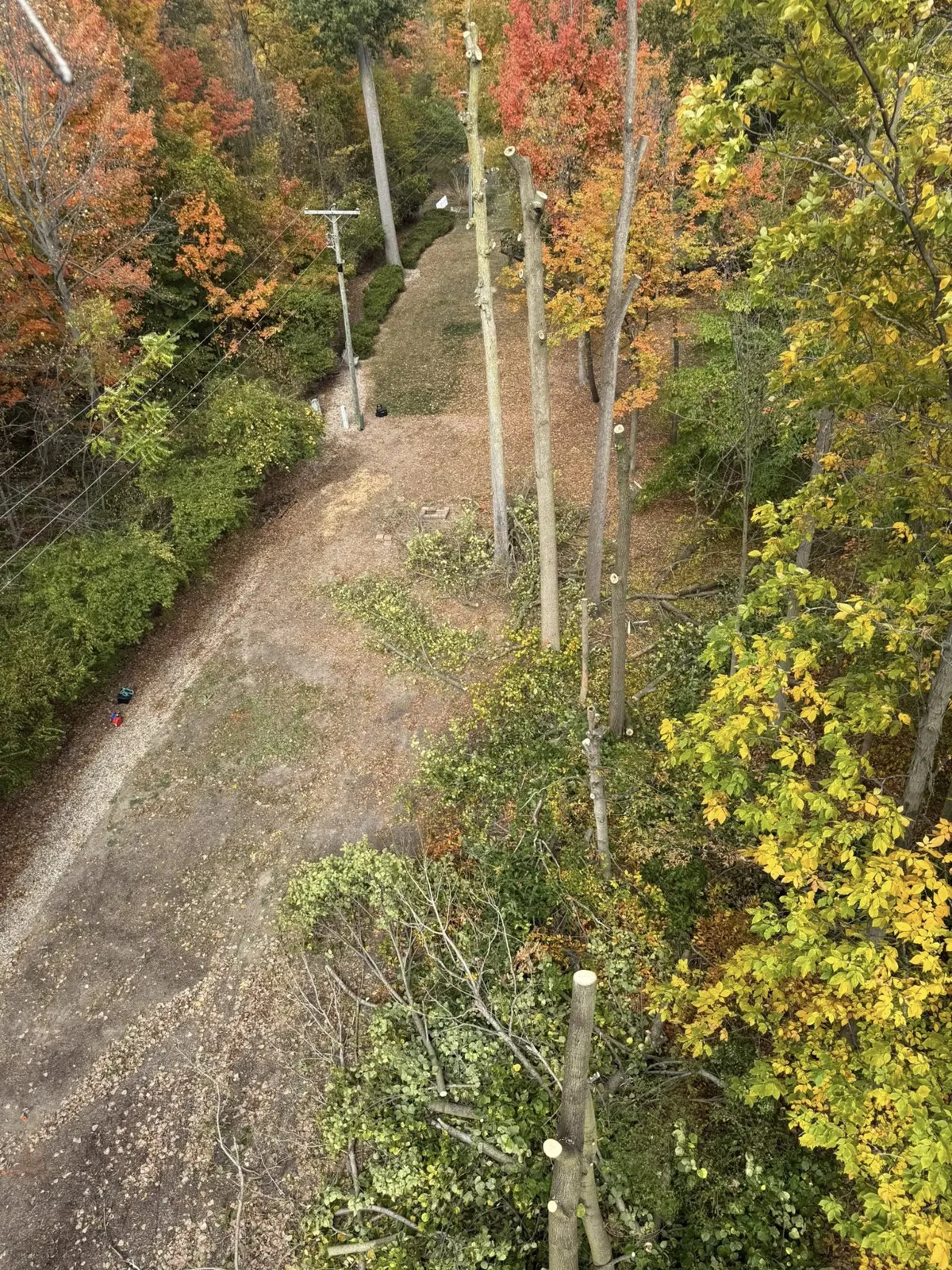 Aerial view of a cleared corridor through trees in northeastern Indiana after land clearing work
