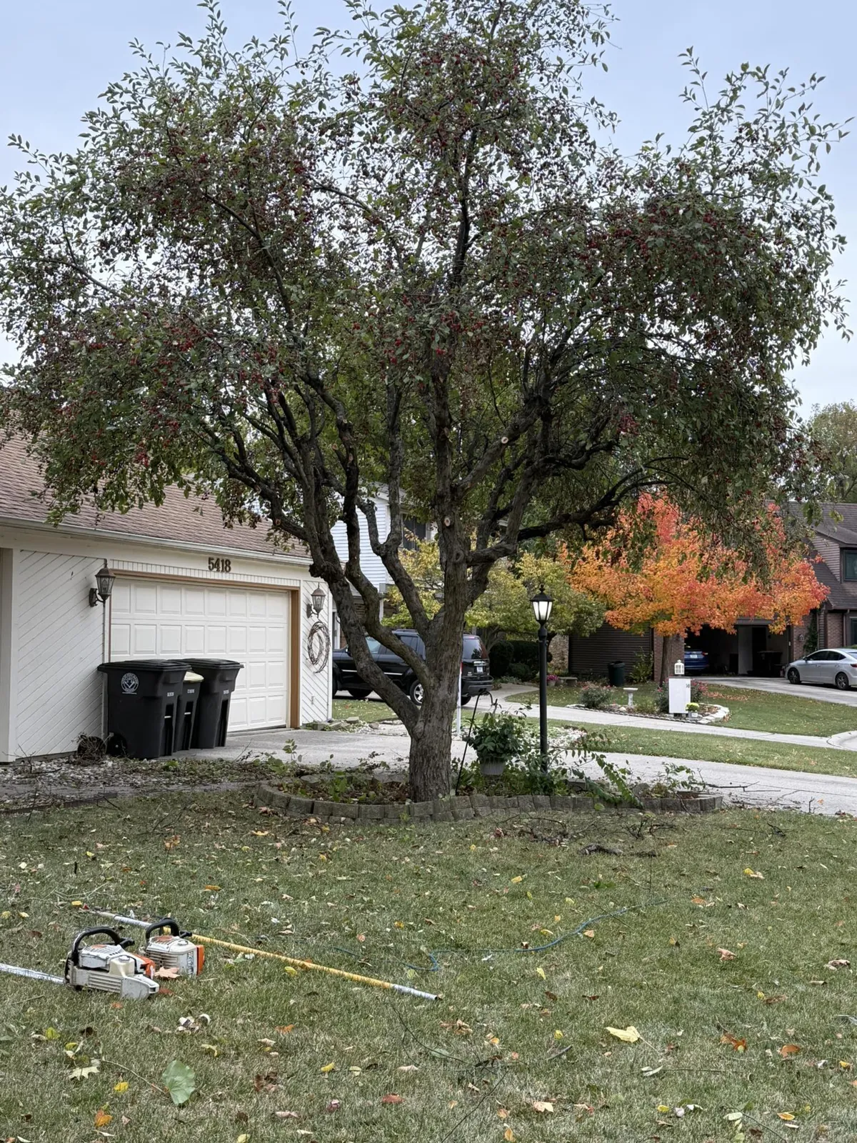 Residential property in Fort Wayne with ornamental tree and maintained yard after landscape design work